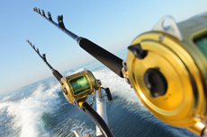 Grand Turk Fishing cruise excursion